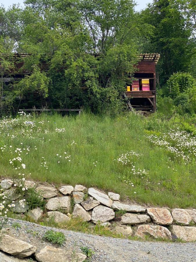 Апартаменты Kreischblick Санкт-Георген-об-Мурау Экстерьер фото